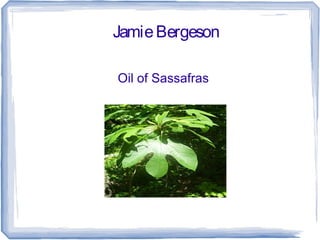 JamieBergeson
Oil of Sassafras
 