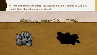 Then over millions of years, the trapped carbon changes to coal and
fossil fuels like, oil, petrol and diesel
 