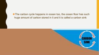 The carbon cycle happens in ocean too, the ocean floor has such
huge amount of carbon stored in it and it is called a carbon sink
CARBON
SINK
 