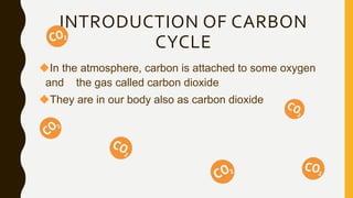 INTRODUCTION OF CARBON
CYCLE
In the atmosphere, carbon is attached to some oxygen
and the gas called carbon dioxide
They are in our body also as carbon dioxide
 