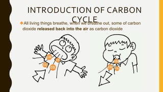 All living things breathe, when we breathe out, some of carbon
dioxide released back into the air as carbon dioxide
INTRODUCTION OF CARBON
CYCLE
 