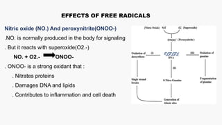 Chemistry__Presentation_Finalllll[1].pptx