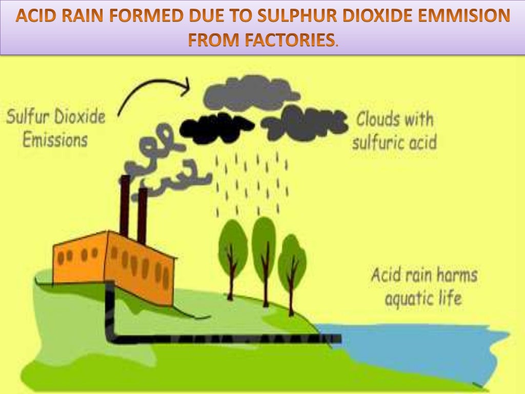 Chemistry project on Water Pollution