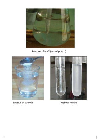 Solution of sucrose MgSO4 solution
Solution of NaCl (actual photo)
 