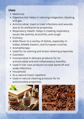 Chemistry project for class 12 on extracting essential oils from seeds ...
