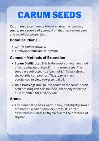 Chemistry project for class 12 on extracting essential oils from seeds ...