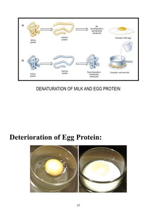 DENATURATION OF MILK AND EGG PROTEIN
Deterioration of Egg Protein:
12
 