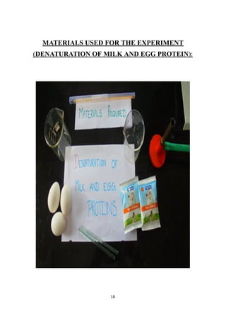 MATERIALS USED FOR THE EXPERIMENT
(DENATURATION OF MILK AND EGG PROTEIN):
18
 