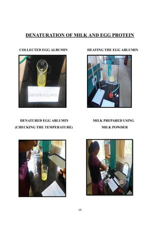 DENATURATION OF MILK AND EGG PROTEIN
COLLECTED EGG ALBUMIN HEATING THE EGG ABLUMIN
DENATURED EGG ABLUMIN MILK PREPARED USING
(CHECKING THE TEMPERATURE) MILK POWDER
19
 