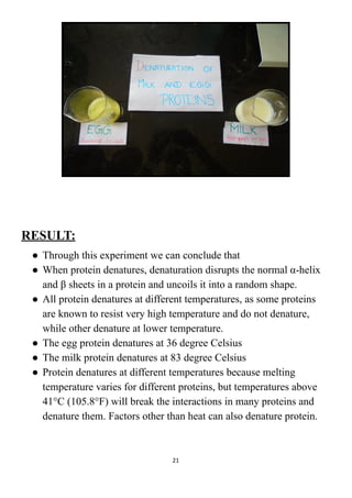 RESULT:
● Through this experiment we can conclude that
● When protein denatures, denaturation disrupts the normal α-helix
and β sheets in a protein and uncoils it into a random shape.
● All protein denatures at different temperatures, as some proteins
are known to resist very high temperature and do not denature,
while other denature at lower temperature.
● The egg protein denatures at 36 degree Celsius
● The milk protein denatures at 83 degree Celsius
● Protein denatures at different temperatures because melting
temperature varies for different proteins, but temperatures above
41°C (105.8°F) will break the interactions in many proteins and
denature them. Factors other than heat can also denature protein.
21
 