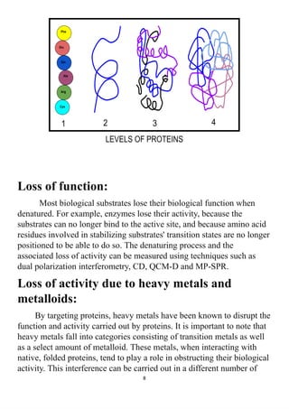 LEVELS OF PROTEINS
Loss of function:
Most biological substrates lose their biological function when
denatured. For example, enzymes lose their activity, because the
substrates can no longer bind to the active site, and because amino acid
residues involved in stabilizing substrates' transition states are no longer
positioned to be able to do so. The denaturing process and the
associated loss of activity can be measured using techniques such as
dual polarization interferometry, CD, QCM-D and MP-SPR.
Loss of activity due to heavy metals and
metalloids:
By targeting proteins, heavy metals have been known to disrupt the
function and activity carried out by proteins. It is important to note that
heavy metals fall into categories consisting of transition metals as well
as a select amount of metalloid. These metals, when interacting with
native, folded proteins, tend to play a role in obstructing their biological
activity. This interference can be carried out in a different number of
8
 
