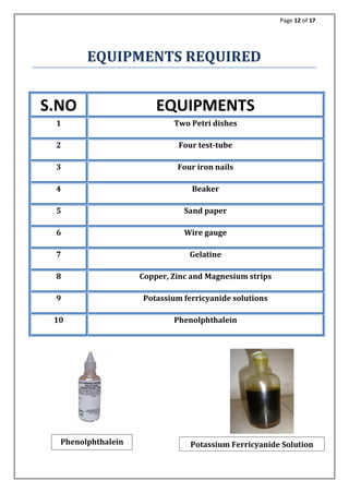12th CHEMISTRY PROJECT - RUSTING OF IRON | PDF