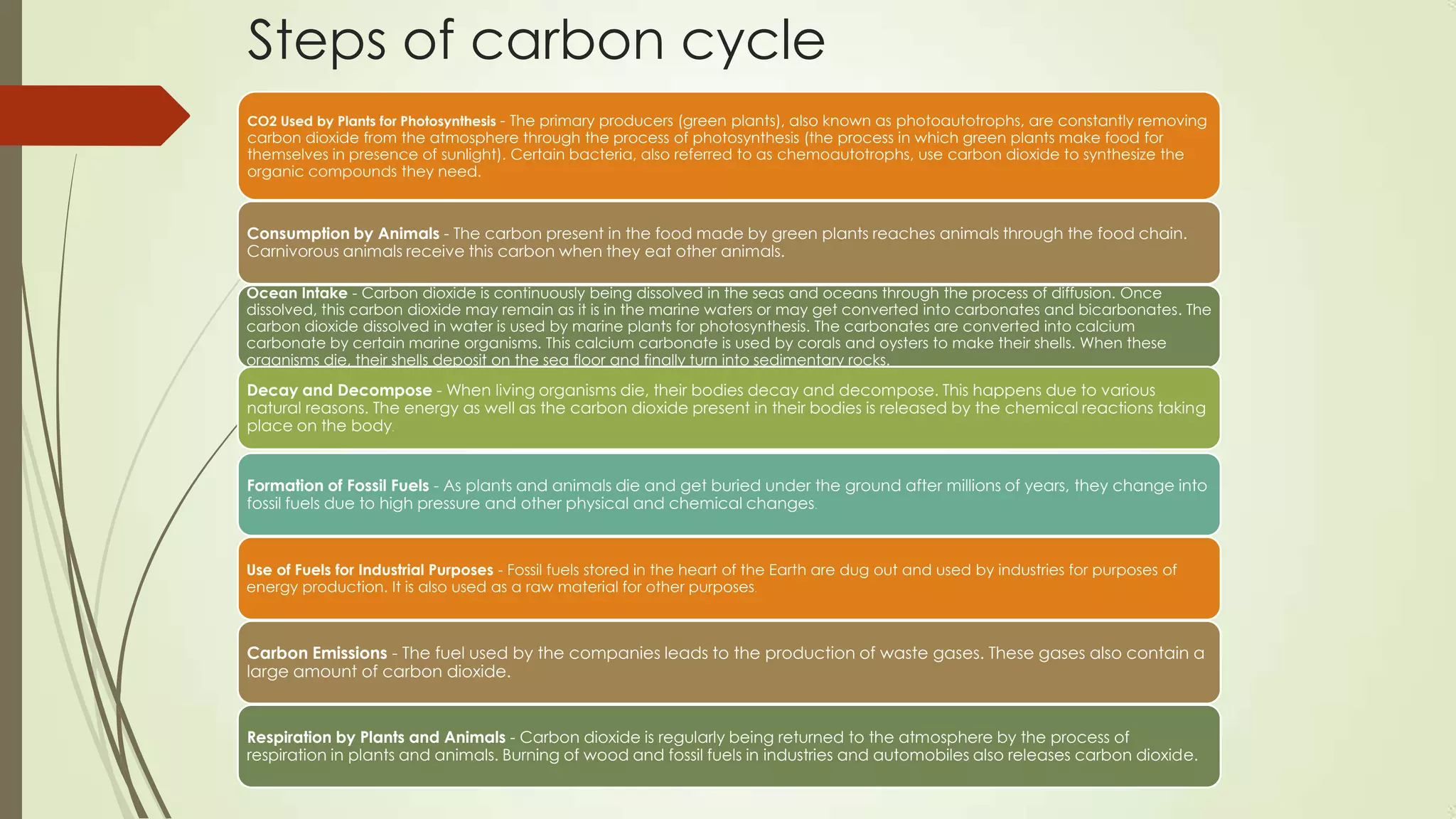 Steps of carbon cycle
CO2 Used by Plants for Photosynthesis - The primary producers (green plants), also known as photoautotrophs, are constantly removing
carbon dioxide from the atmosphere through the process of photosynthesis (the process in which green plants make food for
themselves in presence of sunlight). Certain bacteria, also referred to as chemoautotrophs, use carbon dioxide to synthesize the
organic compounds they need.
Consumption by Animals - The carbon present in the food made by green plants reaches animals through the food chain.
Carnivorous animals receive this carbon when they eat other animals.
Ocean Intake - Carbon dioxide is continuously being dissolved in the seas and oceans through the process of diffusion. Once
dissolved, this carbon dioxide may remain as it is in the marine waters or may get converted into carbonates and bicarbonates. The
carbon dioxide dissolved in water is used by marine plants for photosynthesis. The carbonates are converted into calcium
carbonate by certain marine organisms. This calcium carbonate is used by corals and oysters to make their shells. When these
organisms die, their shells deposit on the sea floor and finally turn into sedimentary rocks.
Decay and Decompose - When living organisms die, their bodies decay and decompose. This happens due to various
natural reasons. The energy as well as the carbon dioxide present in their bodies is released by the chemical reactions taking
place on the body.
Formation of Fossil Fuels - As plants and animals die and get buried under the ground after millions of years, they change into
fossil fuels due to high pressure and other physical and chemical changes.
Use of Fuels for Industrial Purposes - Fossil fuels stored in the heart of the Earth are dug out and used by industries for purposes of
energy production. It is also used as a raw material for other purposes.
Carbon Emissions - The fuel used by the companies leads to the production of waste gases. These gases also contain a
large amount of carbon dioxide.
Respiration by Plants and Animals - Carbon dioxide is regularly being returned to the atmosphere by the process of
respiration in plants and animals. Burning of wood and fossil fuels in industries and automobiles also releases carbon dioxide.
 