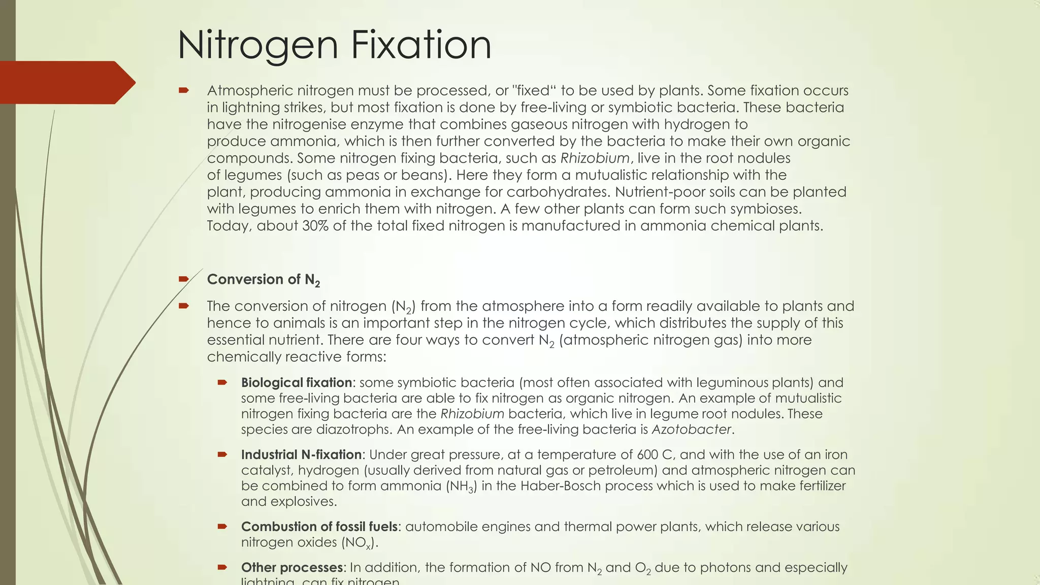 Nitrogen Fixation
 Atmospheric nitrogen must be processed, or "fixed― to be used by plants. Some fixation occurs
in lightning strikes, but most fixation is done by free-living or symbiotic bacteria. These bacteria
have the nitrogenise enzyme that combines gaseous nitrogen with hydrogen to
produce ammonia, which is then further converted by the bacteria to make their own organic
compounds. Some nitrogen fixing bacteria, such as Rhizobium, live in the root nodules
of legumes (such as peas or beans). Here they form a mutualistic relationship with the
plant, producing ammonia in exchange for carbohydrates. Nutrient-poor soils can be planted
with legumes to enrich them with nitrogen. A few other plants can form such symbioses.
Today, about 30% of the total fixed nitrogen is manufactured in ammonia chemical plants.
 Conversion of N2
 The conversion of nitrogen (N2) from the atmosphere into a form readily available to plants and
hence to animals is an important step in the nitrogen cycle, which distributes the supply of this
essential nutrient. There are four ways to convert N2 (atmospheric nitrogen gas) into more
chemically reactive forms:
 Biological fixation: some symbiotic bacteria (most often associated with leguminous plants) and
some free-living bacteria are able to fix nitrogen as organic nitrogen. An example of mutualistic
nitrogen fixing bacteria are the Rhizobium bacteria, which live in legume root nodules. These
species are diazotrophs. An example of the free-living bacteria is Azotobacter.
 Industrial N-fixation: Under great pressure, at a temperature of 600 C, and with the use of an iron
catalyst, hydrogen (usually derived from natural gas or petroleum) and atmospheric nitrogen can
be combined to form ammonia (NH3) in the Haber-Bosch process which is used to make fertilizer
and explosives.
 Combustion of fossil fuels: automobile engines and thermal power plants, which release various
nitrogen oxides (NOx).
 Other processes: In addition, the formation of NO from N2 and O2 due to photons and especially
 