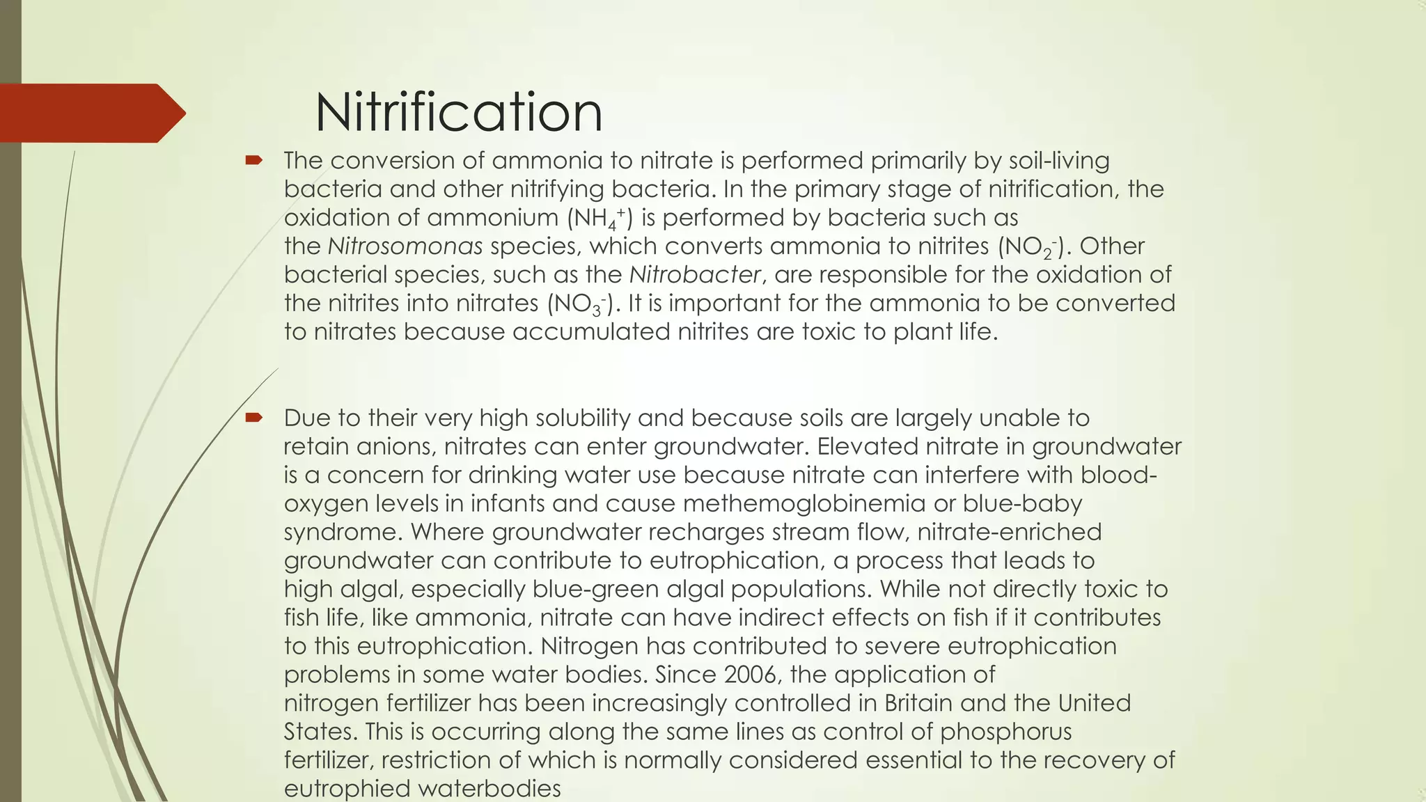 Nitrification
 The conversion of ammonia to nitrate is performed primarily by soil-living
bacteria and other nitrifying bacteria. In the primary stage of nitrification, the
oxidation of ammonium (NH4
+) is performed by bacteria such as
the Nitrosomonas species, which converts ammonia to nitrites (NO2
-). Other
bacterial species, such as the Nitrobacter, are responsible for the oxidation of
the nitrites into nitrates (NO3
-). It is important for the ammonia to be converted
to nitrates because accumulated nitrites are toxic to plant life.
 Due to their very high solubility and because soils are largely unable to
retain anions, nitrates can enter groundwater. Elevated nitrate in groundwater
is a concern for drinking water use because nitrate can interfere with blood-
oxygen levels in infants and cause methemoglobinemia or blue-baby
syndrome. Where groundwater recharges stream flow, nitrate-enriched
groundwater can contribute to eutrophication, a process that leads to
high algal, especially blue-green algal populations. While not directly toxic to
fish life, like ammonia, nitrate can have indirect effects on fish if it contributes
to this eutrophication. Nitrogen has contributed to severe eutrophication
problems in some water bodies. Since 2006, the application of
nitrogen fertilizer has been increasingly controlled in Britain and the United
States. This is occurring along the same lines as control of phosphorus
fertilizer, restriction of which is normally considered essential to the recovery of
eutrophied waterbodies
 