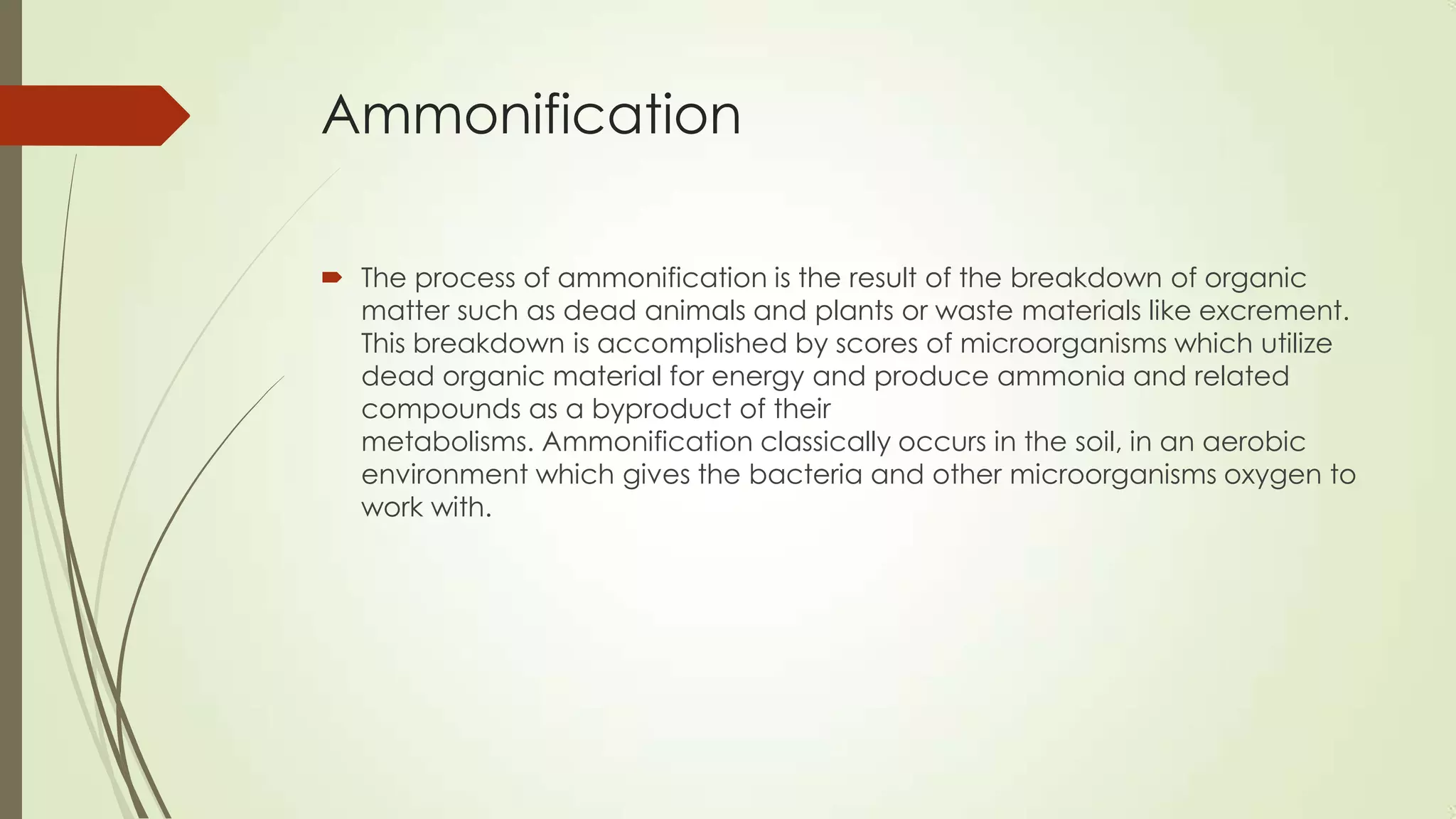 Ammonification
 The process of ammonification is the result of the breakdown of organic
matter such as dead animals and plants or waste materials like excrement.
This breakdown is accomplished by scores of microorganisms which utilize
dead organic material for energy and produce ammonia and related
compounds as a byproduct of their
metabolisms. Ammonification classically occurs in the soil, in an aerobic
environment which gives the bacteria and other microorganisms oxygen to
work with.
 