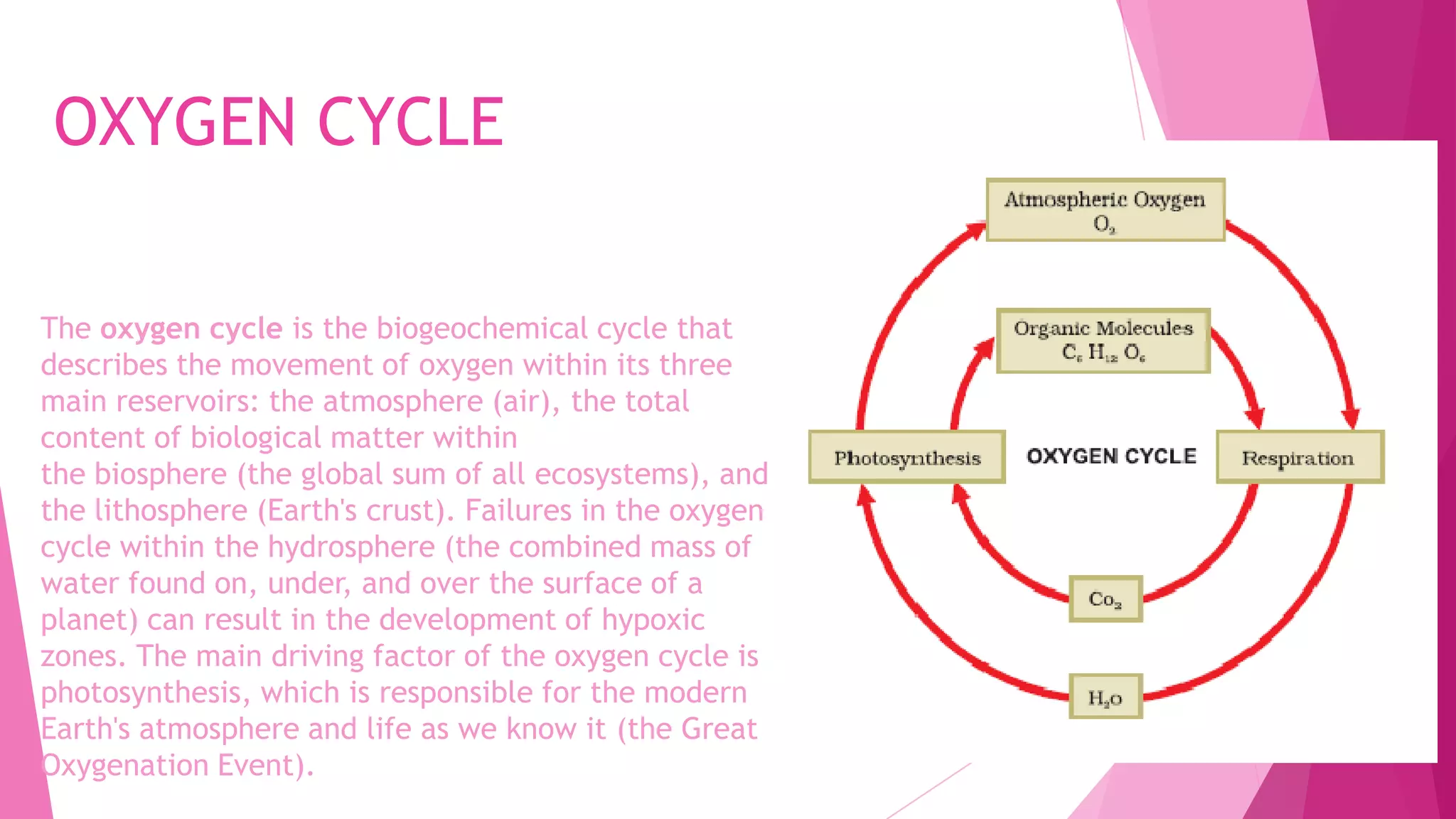 OXYGEN CYCLE
The oxygen cycle is the biogeochemical cycle that
describes the movement of oxygen within its three
main reservoirs: the atmosphere (air), the total
content of biological matter within
the biosphere (the global sum of all ecosystems), and
the lithosphere (Earth's crust). Failures in the oxygen
cycle within the hydrosphere (the combined mass of
water found on, under, and over the surface of a
planet) can result in the development of hypoxic
zones. The main driving factor of the oxygen cycle is
photosynthesis, which is responsible for the modern
Earth's atmosphere and life as we know it (the Great
Oxygenation Event).
 