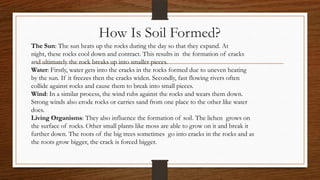 How Is Soil Formed?
The Sun: The sun heats up the rocks during the day so that they expand. At
night, these rocks cool down and contract. This results in the formation of cracks
and ultimately the rock breaks up into smaller pieces.
Water: Firstly, water gets into the cracks in the rocks formed due to uneven heating
by the sun. If it freezes then the cracks widen. Secondly, fast flowing rivers often
collide against rocks and cause them to break into small pieces.
Wind: In a similar process, the wind rubs against the rocks and wears them down.
Strong winds also erode rocks or carries sand from one place to the other like water
does.
Living Organisms: They also influence the formation of soil. The lichen grows on
the surface of rocks. Other small plants like moss are able to grow on it and break it
further down. The roots of the big trees sometimes go into cracks in the rocks and as
the roots grow bigger, the crack is forced bigger.
 