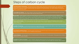 Steps of carbon cycle
CO2 Used by Plants for Photosynthesis - The primary producers (green plants), also known as photoautotrophs, are constantly removing
carbon dioxide from the atmosphere through the process of photosynthesis (the process in which green plants make food for
themselves in presence of sunlight). Certain bacteria, also referred to as chemoautotrophs, use carbon dioxide to synthesize the
organic compounds they need.
Consumption by Animals - The carbon present in the food made by green plants reaches animals through the food chain.
Carnivorous animals receive this carbon when they eat other animals.
Ocean Intake - Carbon dioxide is continuously being dissolved in the seas and oceans through the process of diffusion. Once
dissolved, this carbon dioxide may remain as it is in the marine waters or may get converted into carbonates and bicarbonates. The
carbon dioxide dissolved in water is used by marine plants for photosynthesis. The carbonates are converted into calcium
carbonate by certain marine organisms. This calcium carbonate is used by corals and oysters to make their shells. When these
organisms die, their shells deposit on the sea floor and finally turn into sedimentary rocks.
Decay and Decompose - When living organisms die, their bodies decay and decompose. This happens due to various
natural reasons. The energy as well as the carbon dioxide present in their bodies is released by the chemical reactions taking
place on the body.
Formation of Fossil Fuels - As plants and animals die and get buried under the ground after millions of years, they change into
fossil fuels due to high pressure and other physical and chemical changes.
Use of Fuels for Industrial Purposes - Fossil fuels stored in the heart of the Earth are dug out and used by industries for purposes of
energy production. It is also used as a raw material for other purposes.
Carbon Emissions - The fuel used by the companies leads to the production of waste gases. These gases also contain a
large amount of carbon dioxide.
Respiration by Plants and Animals - Carbon dioxide is regularly being returned to the atmosphere by the process of
respiration in plants and animals. Burning of wood and fossil fuels in industries and automobiles also releases carbon dioxide.
 