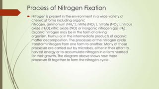 Process of Nitrogen Fixation
 Nitrogen is present in the environment in a wide variety of
chemical forms including organic
nitrogen, ammonium (NH4
+), nitrite (NO2
-), nitrate (NO3
-), nitrous
oxide (N2O),nitric oxide (NO) or inorganic nitrogen gas (N2).
Organic nitrogen may be in the form of a living
organism, humus or in the intermediate products of organic
matter decomposition. The processes of the nitrogen cycle
transform nitrogen from one form to another. Many of those
processes are carried out by microbes, either in their effort to
harvest energy or to accumulate nitrogen in a form needed
for their growth. The diagram above shows how these
processes fit together to form the nitrogen cycle.
 