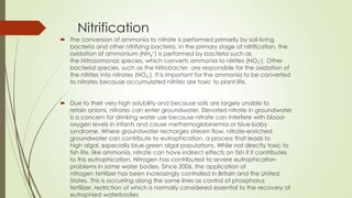 Nitrification
 The conversion of ammonia to nitrate is performed primarily by soil-living
bacteria and other nitrifying bacteria. In the primary stage of nitrification, the
oxidation of ammonium (NH4
+) is performed by bacteria such as
the Nitrosomonas species, which converts ammonia to nitrites (NO2
-). Other
bacterial species, such as the Nitrobacter, are responsible for the oxidation of
the nitrites into nitrates (NO3
-). It is important for the ammonia to be converted
to nitrates because accumulated nitrites are toxic to plant life.
 Due to their very high solubility and because soils are largely unable to
retain anions, nitrates can enter groundwater. Elevated nitrate in groundwater
is a concern for drinking water use because nitrate can interfere with blood-
oxygen levels in infants and cause methemoglobinemia or blue-baby
syndrome. Where groundwater recharges stream flow, nitrate-enriched
groundwater can contribute to eutrophication, a process that leads to
high algal, especially blue-green algal populations. While not directly toxic to
fish life, like ammonia, nitrate can have indirect effects on fish if it contributes
to this eutrophication. Nitrogen has contributed to severe eutrophication
problems in some water bodies. Since 2006, the application of
nitrogen fertilizer has been increasingly controlled in Britain and the United
States. This is occurring along the same lines as control of phosphorus
fertilizer, restriction of which is normally considered essential to the recovery of
eutrophied waterbodies
 