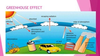 GREENHOUSE EFFECT
 