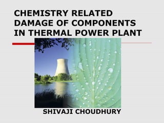 CHEMISTRY RELATED 
DAMAGE OF COMPONENTS 
IN THERMAL POWER PLANT 
SHIVAJI CHOUDHURY 
 