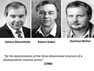 Hartmut Michel<br />Johann Deisenhofer<br />Robert Huber<br /> "for the determination of the three-dimensional structure o...
