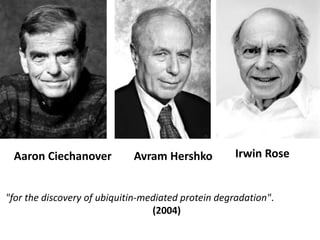 Irwin Rose<br />Aaron Ciechanover<br />AvramHershko<br /> "for the discovery of ubiquitin-mediated protein degradation". <...
