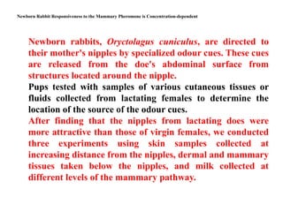Dependent Rabbit Chemistry synthesis and Uses of Pheromones.pptx