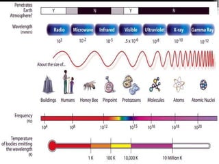 Bhor's Atomic model | PPT