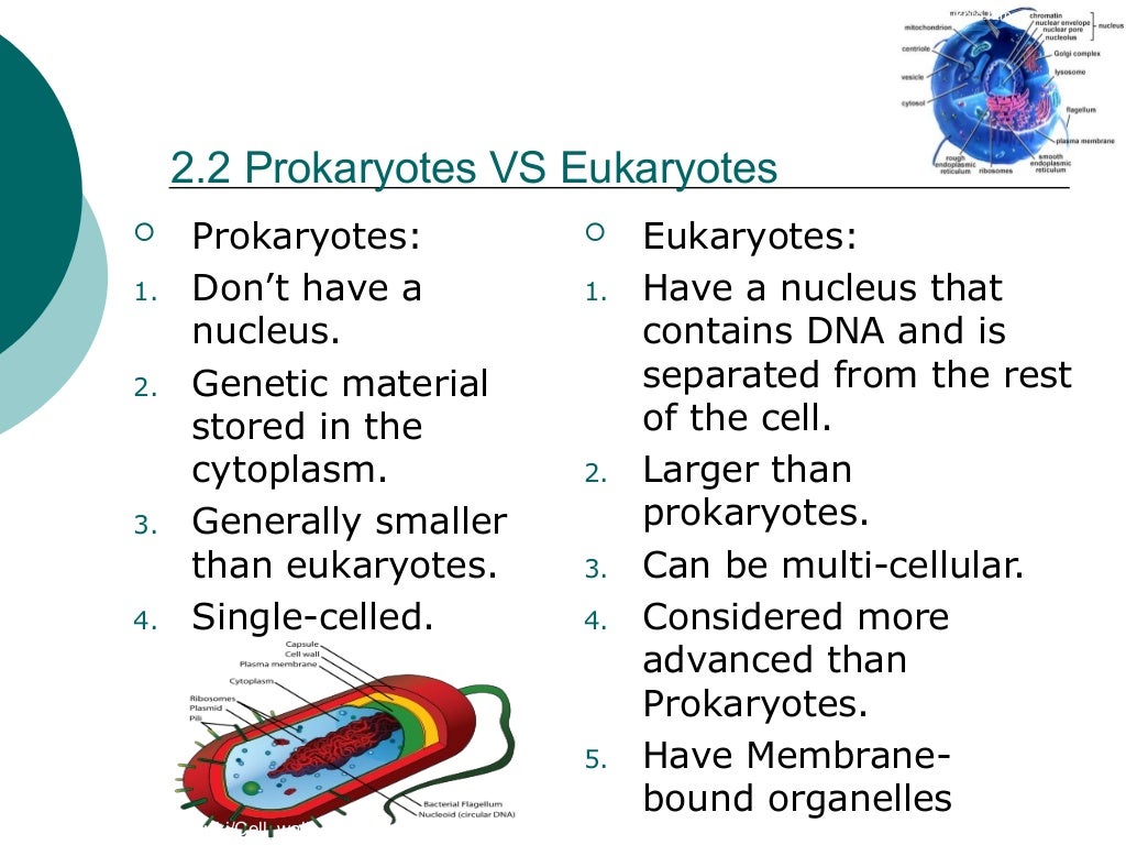 Biology Power Point
