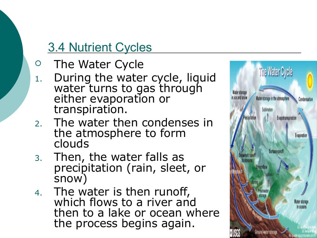 Biology Power Point