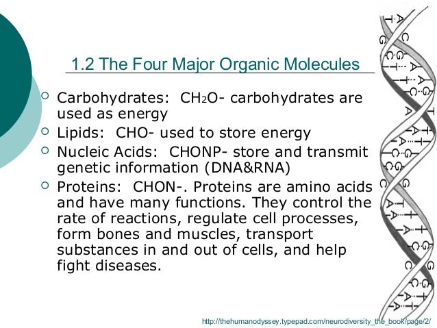 Biology Power Point