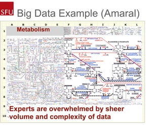 Big Data Example (Amaral)
Metabolism
Experts are overwhelmed by sheer
volume and complexity of data
 