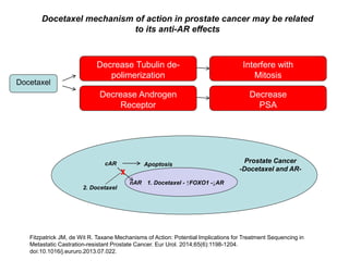 Docetaxel
Decrease Androgen
Receptor
Decrease
PSA
Fitzpatrick JM, de Wit R. Taxane Mechanisms of Action: Potential Implications for Treatment Sequencing in
Metastatic Castration-resistant Prostate Cancer. Eur Urol. 2014;65(6):1198-1204.
doi:10.1016/j.eururo.2013.07.022.
Docetaxel mechanism of action in prostate cancer may be related
to its anti-AR effects
Decrease Tubulin de-
polimerization
Interfere with
Mitosis
1. Docetaxel - ↑FOXO1 -↓AR
cAR
nAR
2. Docetaxel
Apoptosis
Prostate Cancer
-Docetaxel and AR-
 