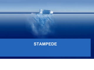 STAMPEDE
 