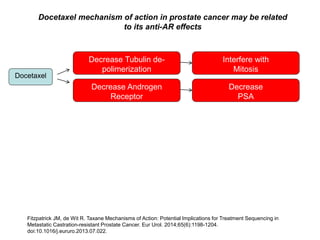 Docetaxel
Decrease Androgen
Receptor
Decrease
PSA
Fitzpatrick JM, de Wit R. Taxane Mechanisms of Action: Potential Implications for Treatment Sequencing in
Metastatic Castration-resistant Prostate Cancer. Eur Urol. 2014;65(6):1198-1204.
doi:10.1016/j.eururo.2013.07.022.
Docetaxel mechanism of action in prostate cancer may be related
to its anti-AR effects
Decrease Tubulin de-
polimerization
Interfere with
Mitosis
 