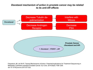 Docetaxel
Decrease Androgen
Receptor
Decrease
PSA
Fitzpatrick JM, de Wit R. Taxane Mechanisms of Action: Potential Implications for Treatment Sequencing in
Metastatic Castration-resistant Prostate Cancer. Eur Urol. 2014;65(6):1198-1204.
doi:10.1016/j.eururo.2013.07.022.
Docetaxel mechanism of action in prostate cancer may be related
to its anti-AR effects
Decrease Tubulin de-
polimerization
Interfere with
Mitosis
1. Docetaxel - ↑FOXO1 -↓AR
Prostate Cancer
-Docetaxel and AR-
 