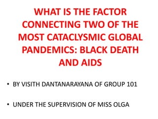 WHAT IS THE FACTOR
CONNECTING TWO OF THE
MOST CATACLYSMIC GLOBAL
PANDEMICS: BLACK DEATH
AND AIDS
• BY VISITH DANTANARAYANA OF GROUP 101
• UNDER THE SUPERVISION OF MISS OLGA
 