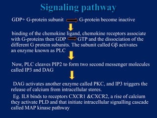 Chemokines | PPT