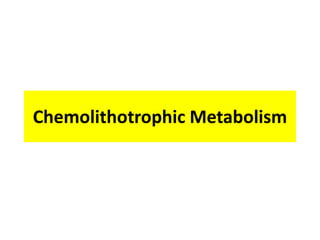 Chemolithotrophic Metabolism
 