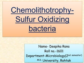 Chemolithotrophy-
Sulfur Oxidizing
bacteria
Name- Deepika Rana
Roll no.-1601
Department-Microbiology(2nd semester)
M.D. University, Rohtak
 