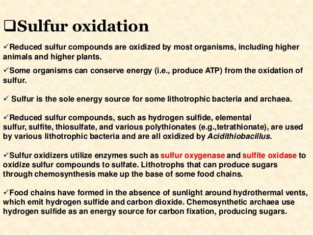 What is the source of energy for chemosynthesis?