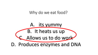 Why do we eat food?
A. its yummy
B. It heats us up
C. Allows us to do work
D. Produces enzymes and DNA
 