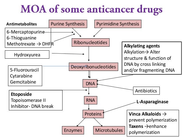 principles of chemotherapy principles of chemotherapy