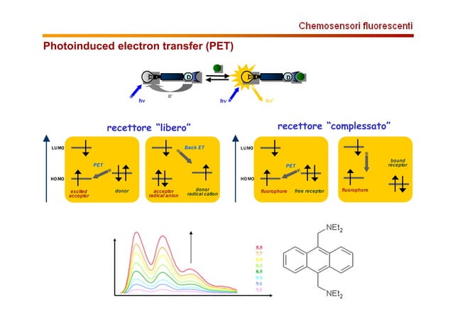 Chemo Sensor Ppt PPT