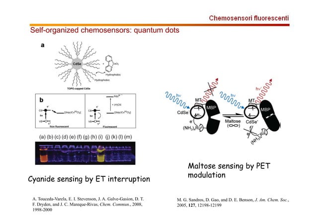 Chemo Sensor Ppt PPT