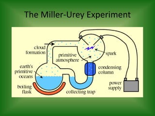The Miller-Urey Experiment