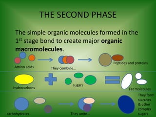 THE SECOND PHASE	The simple organic molecules formed in the 1st stage bond to create major organic macromolecules.Peptides and proteinsAmino acidsThey combine…sugarshydrocarbonsFat moleculesThey form starches & other complex sugarscarbohydratesThey unite…